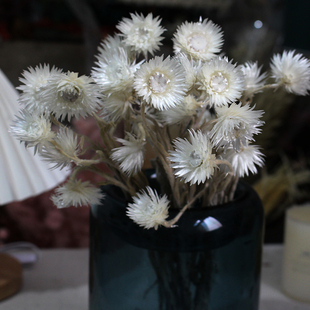 永生花石岩花天然真花进口雪莲花装饰摆设插花diy手工花材干花