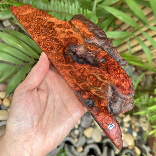 缅甸花梨大果紫檀瘿木满瘤疤树瘤木料 干泡茶台底座摆台摆件红木