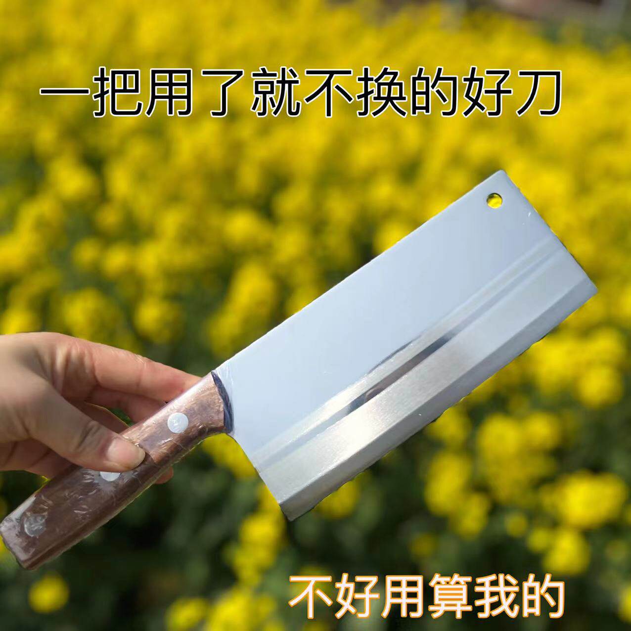 龙之艺不锈钢锋利家用切片刀菜刀