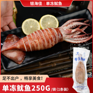 单冻整条大鱿鱼250g冷冻烧烤食材