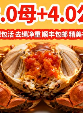 【精品蟹礼】3.0两母4.0两公10只