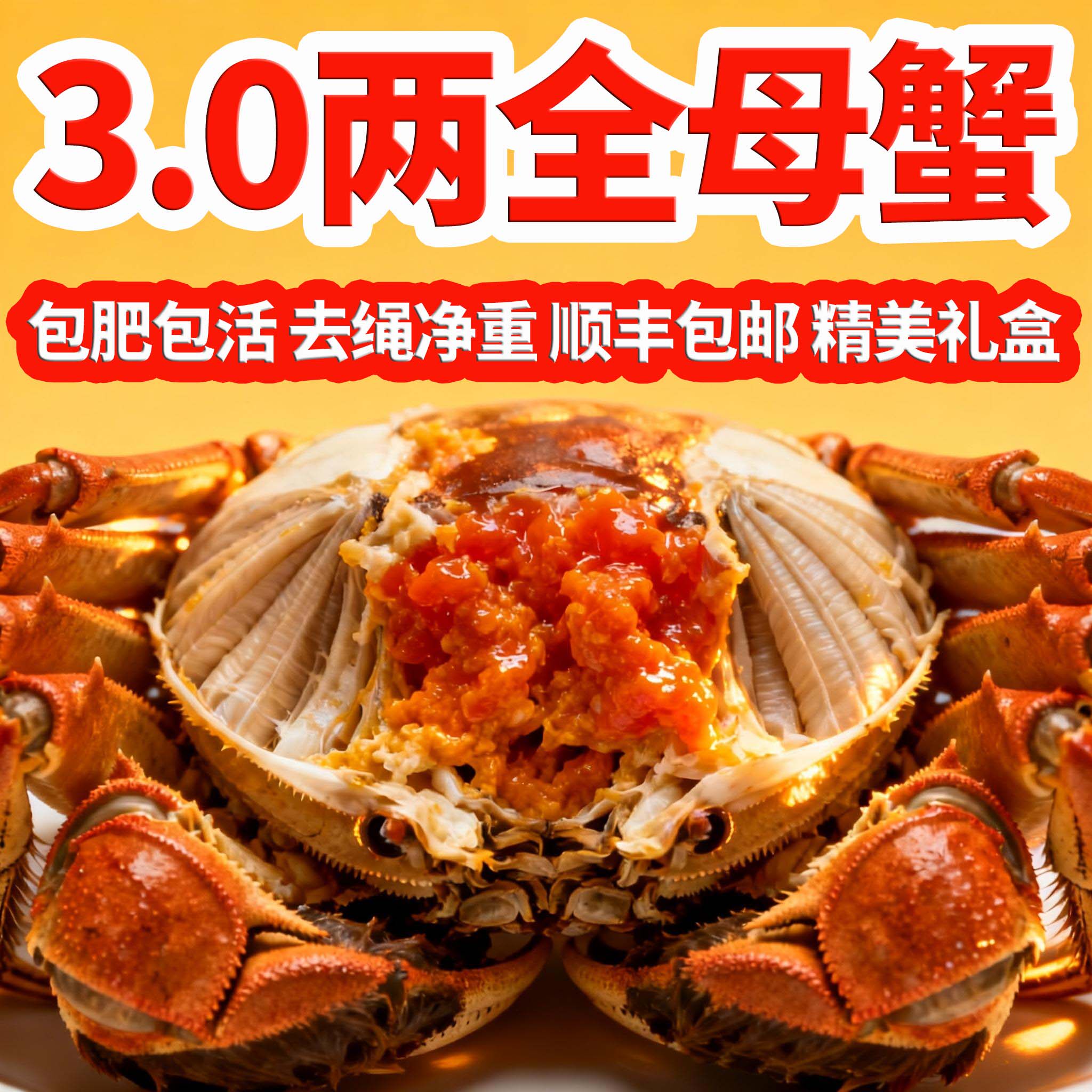 【春节不打烊】活蟹3.0两全母洪泽湖大闸蟹鲜活江苏螃蟹10只礼盒