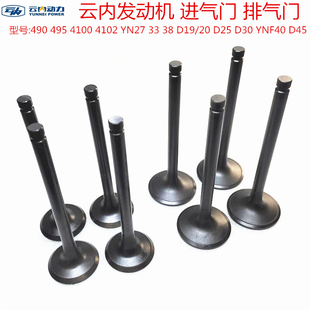 云内490 4102 YN27 33 38 D19 D20 D25 D30 YNF40发动机进排气门