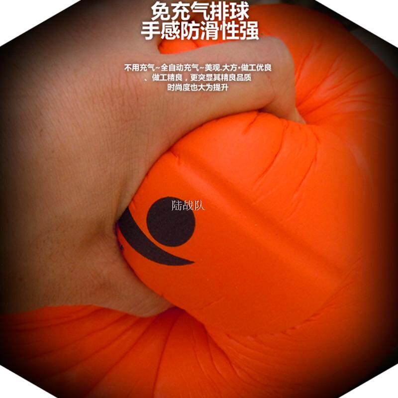Ballon de volley-ball - Ref 2012639 Image 5