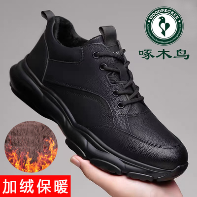 啄木鸟秋冬季新款男士休闲鞋