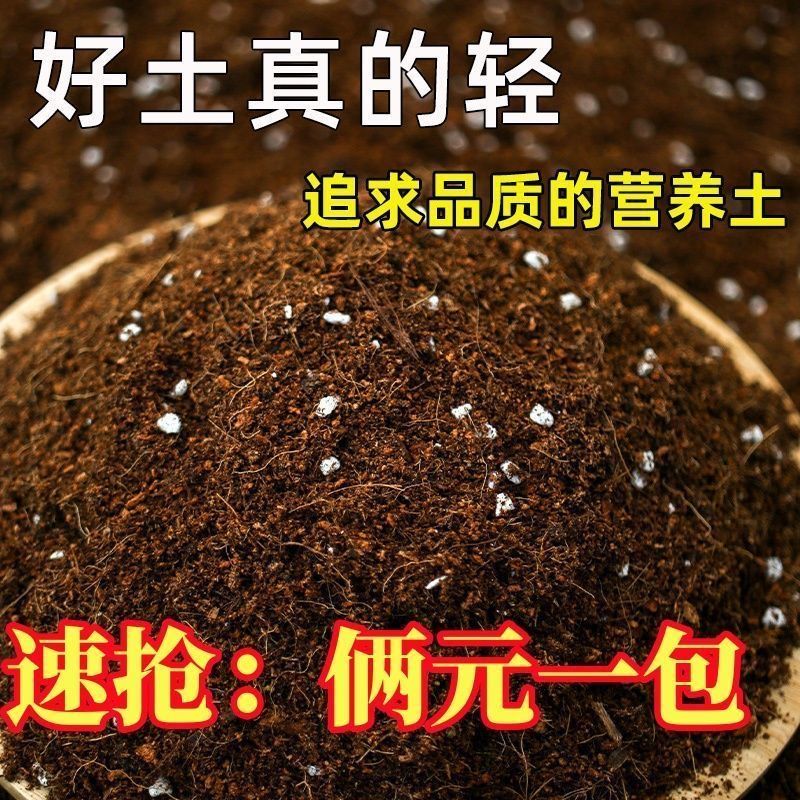 营养今日养花好货泥炭多肉土花土种菜有机土壤种植绿萝肥料培养土