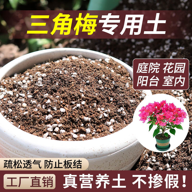 【三角梅专用土】疏松透气有机土壤绿植种植土植物营养土保水保肥图片