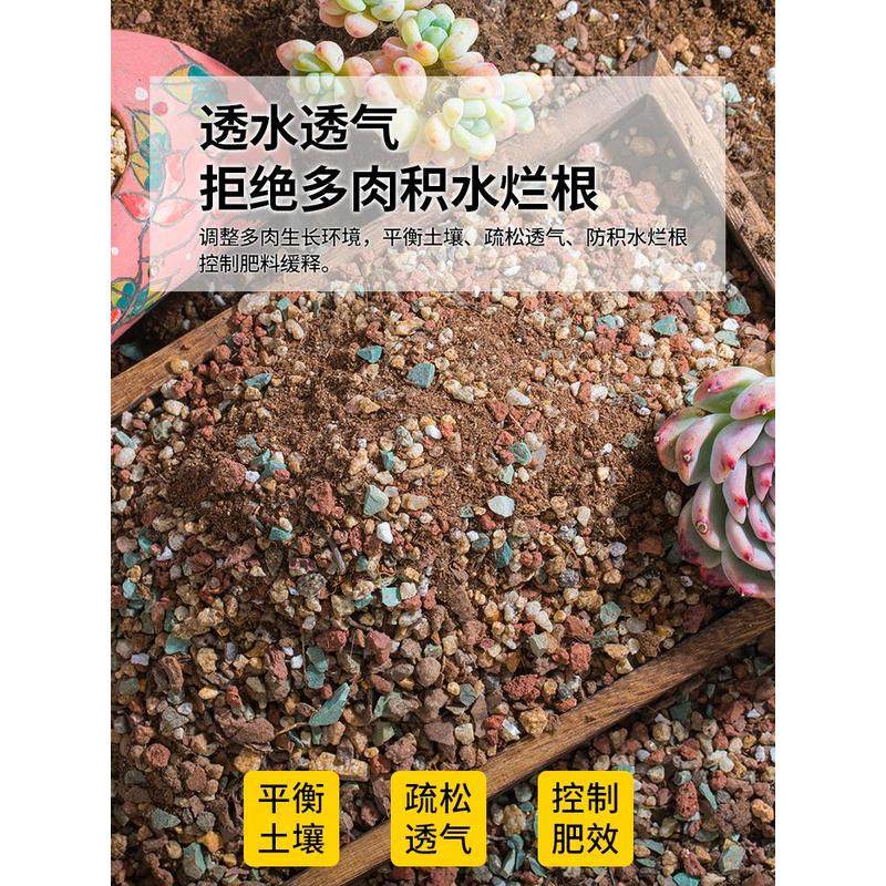 精选多肉专用营养颗粒土泥炭花土种植室内盆栽通用栽培土壤铺面石,鲜花速递/花卉仿真/绿植园艺,土壤覆盖物,淘宝优惠券,粉丝福利购,淘宝优惠卷