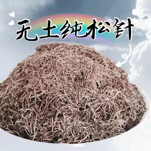 发酵腐熟无土纯松针君子兰多肉专用家庭盆栽通用天然有机营养花土