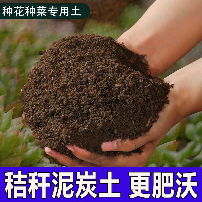 松针腐殖土兰花松叶土天然腐叶土君子兰多肉营养土养花通用专用土