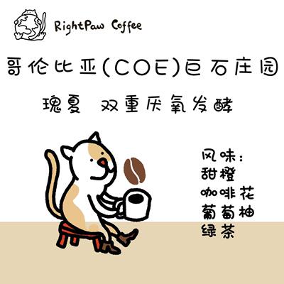 水果味调性比较足的两支豆种