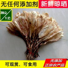 2024现货昙花干花朵琼花干天然可食用非霸王花煲汤泡水