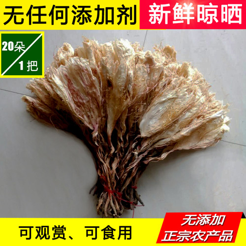 天然可食用煲汤泡水昙花