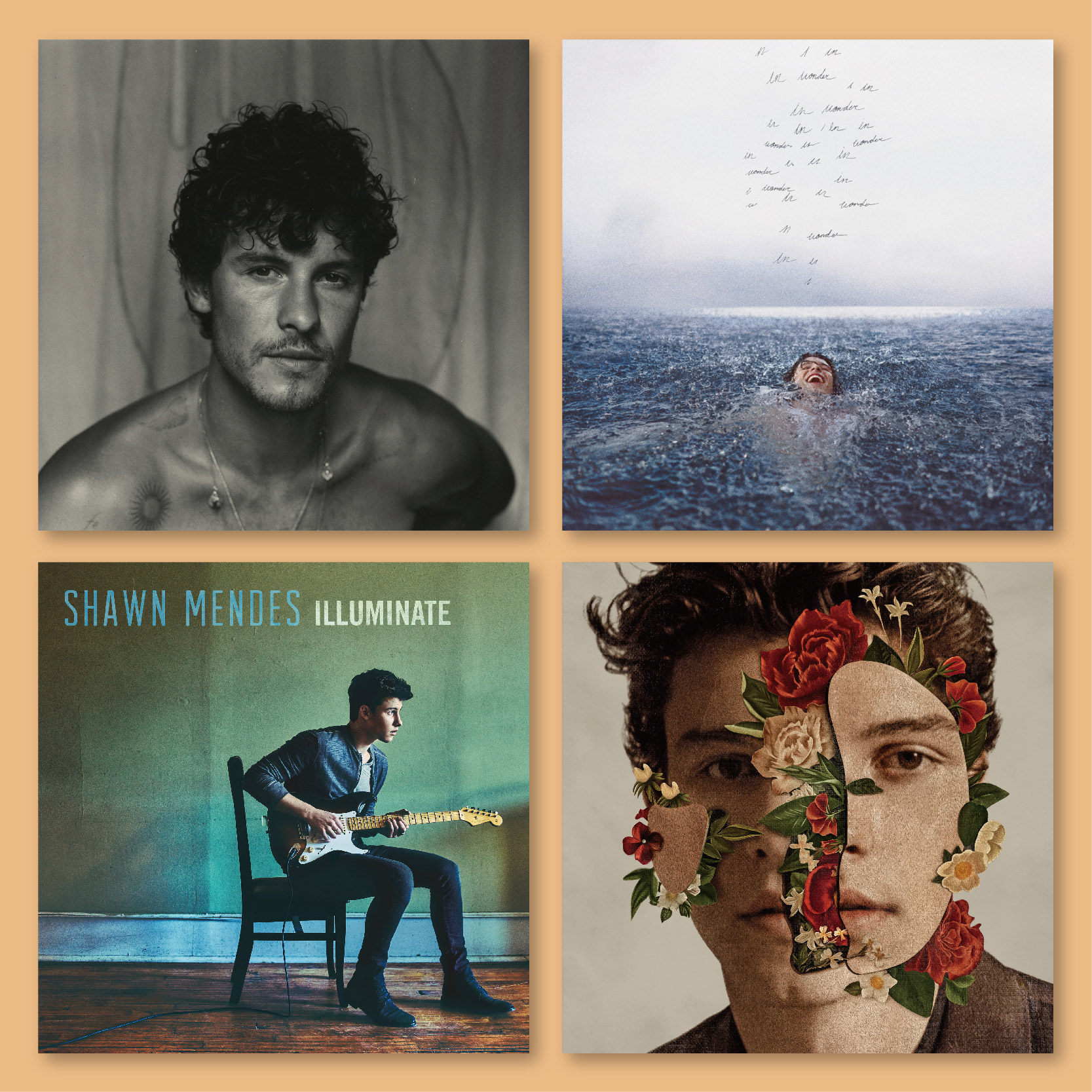 ShawnMendes专辑海报全店满5送1