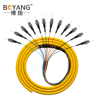 博扬(BOYANG)BY-ST12 电信级单模光纤跳线尾纤1.2米12芯ST束状
