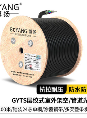 博扬BY-GYTS-24B1.3 铠装24芯单模室外光缆 GYTS层绞式架空/管道