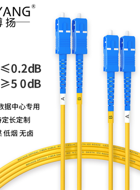博扬 电信级光纤跳线SC-SC(UPC) 1米 单模双芯尾纤 Φ2跳BY-1112S