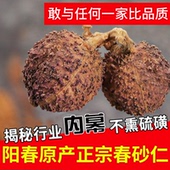 野生阳春砂广东砂仁煲汤100克 阳春春砂仁正宗特产 头茬大果