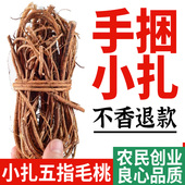 正宗野生五指毛桃根中药材新鲜干货土茯苓祛湿茶煲汤五爪龙500克