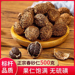 【敢和任何一家比质量】正宗阳春春砂仁 阳春特产 煲汤煮水500克