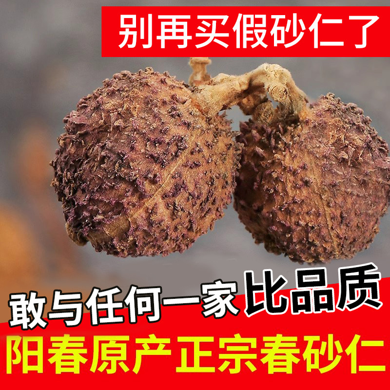 【头茬大果】阳春春砂仁正宗特产 野生阳春砂广东砂仁煲汤100克