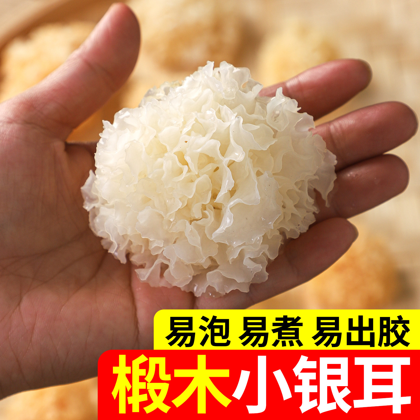 椴木小银耳干货200g福建古田地标不熏硫白木耳出胶糯银耳莲子羹