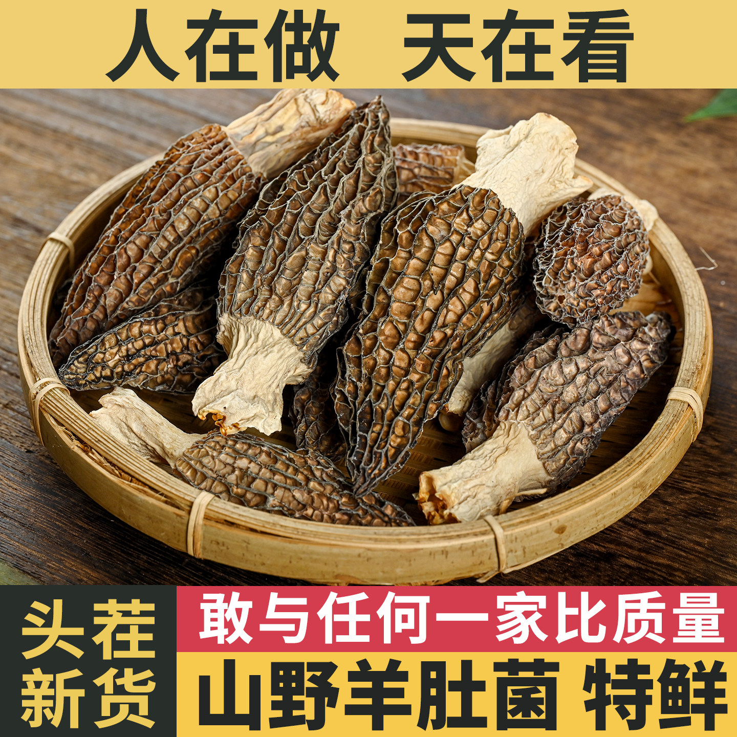 云南特级羊肚菌干货头茬图片