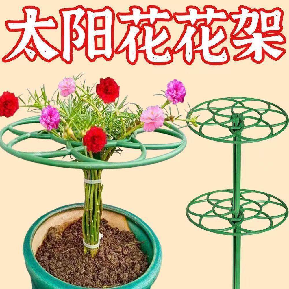 太阳花架棒棒糖造型架防倒伏花架子多层蟹爪兰支撑杆植物爬藤固定图片