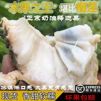 凤梨牛奶释迦果应当季现摘大果新鲜5斤番荔枝水果佛头摩尼果包邮