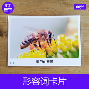 形容词卡片 低年级表达训练练习卡 看图说话自闭唐宝语言提升教具