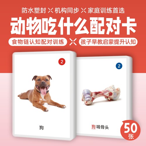 动物食物配对卡认知卡食物链配对