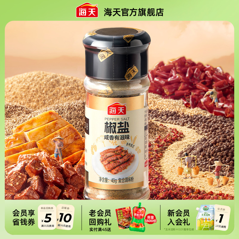 海天椒盐40g烧烤撒粉调味料
