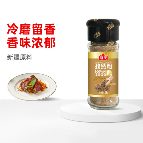 海天孜然粉椒盐多口味烧烤调料
