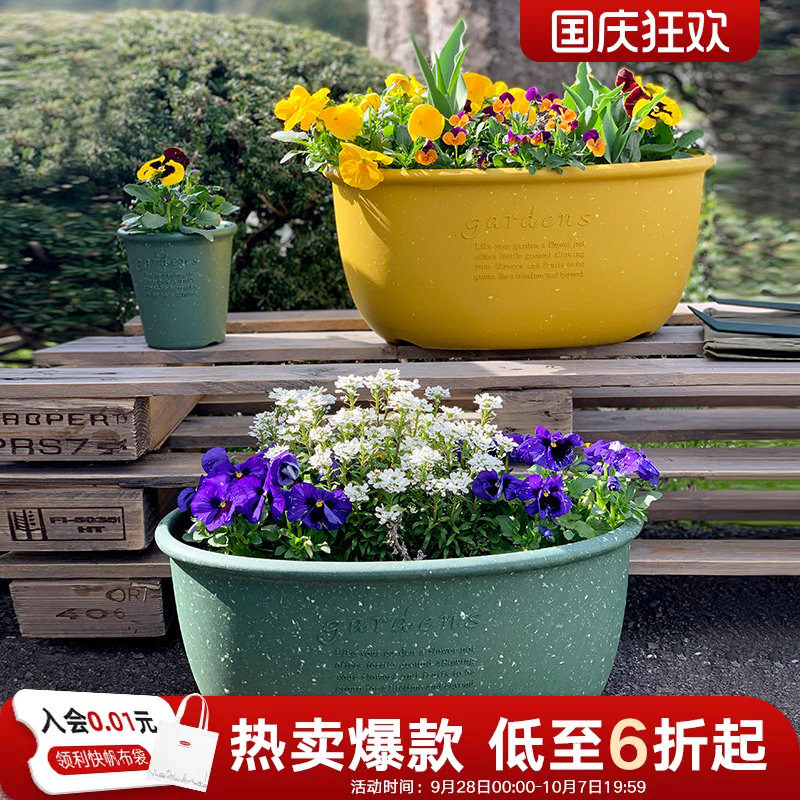 利快进口椭圆形花盆创意