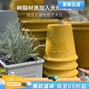 清新进口创意耐摔阳台花盆复古大号 利快进口塑料花盆家用托盘日式