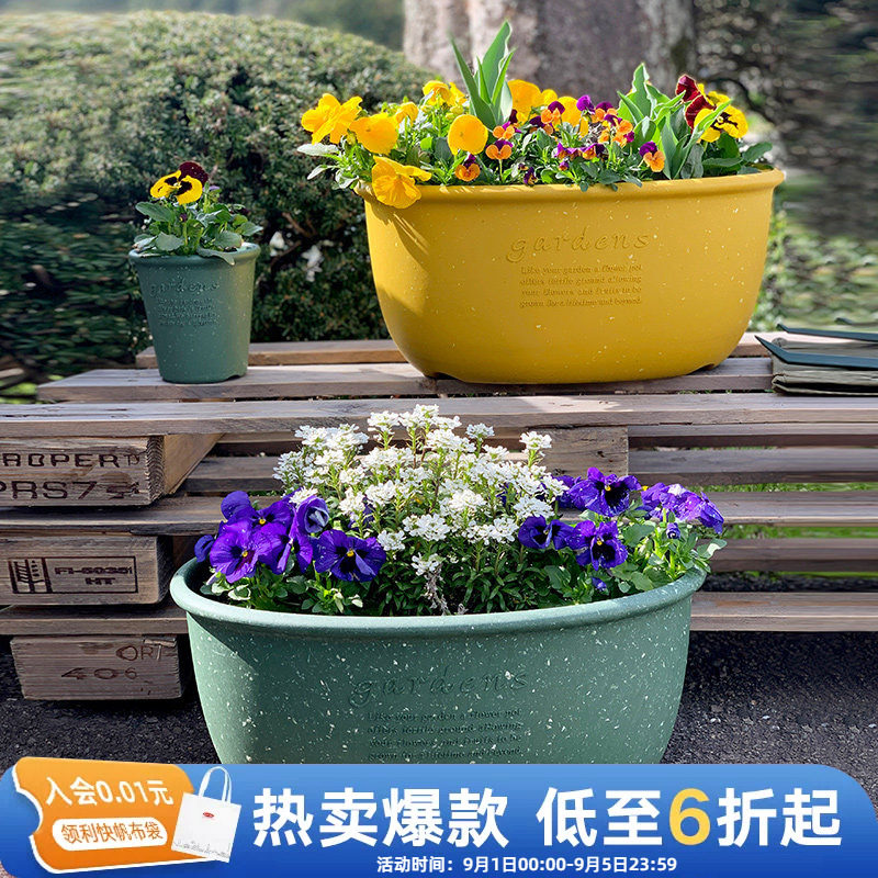 利快进口椭圆形花盆创意