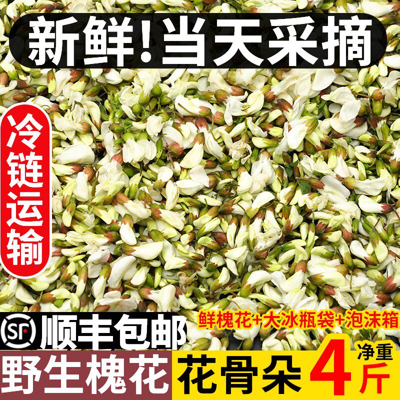 【顺丰】槐花现摘现发新鲜洋槐花4斤野菜蒸麦饭野生洋槐树花骨朵