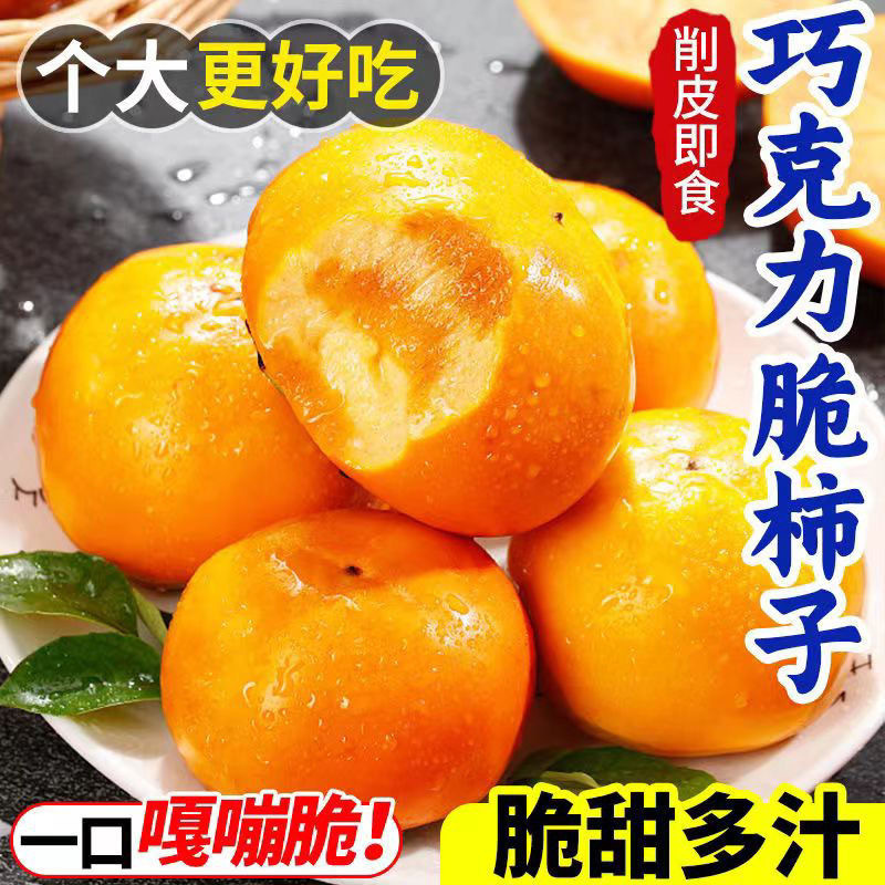正宗巧克力脆柿子现摘现发