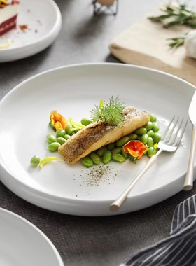 酒店白色冷菜盘高档商用异形凉菜盘意境高级感牛排盘西餐餐厅餐具