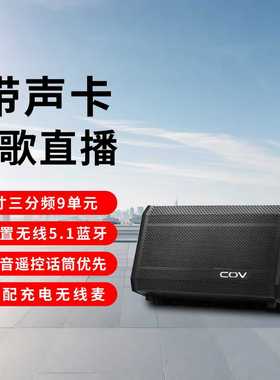 COV户外多功能演艺音响280W大功率低音炮广场舞K歌直播乐器音箱