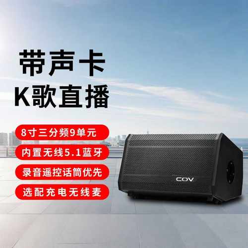 COV户外多功能演艺音响280W大功率低音炮广场舞K歌直播乐器音箱