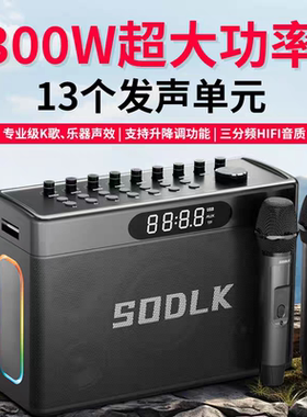 声莱客S1127Plus蓝牙音箱300W大功率户外露营聚会便携K歌直播音箱