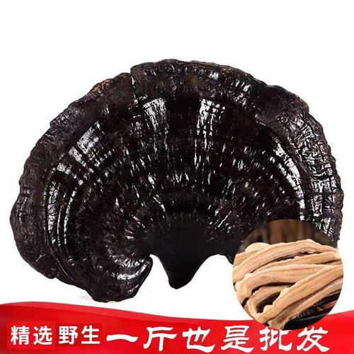 长白山黑灵芝野生特级