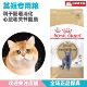皇家猫粮 天然美毛 金银渐层适用 英短成猫专用粮BS34 2KG袋装