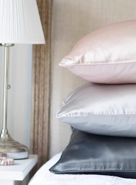 Laidback双面桑蚕丝重磅真丝加厚枕套枕头套大肠法式发圈套装单人