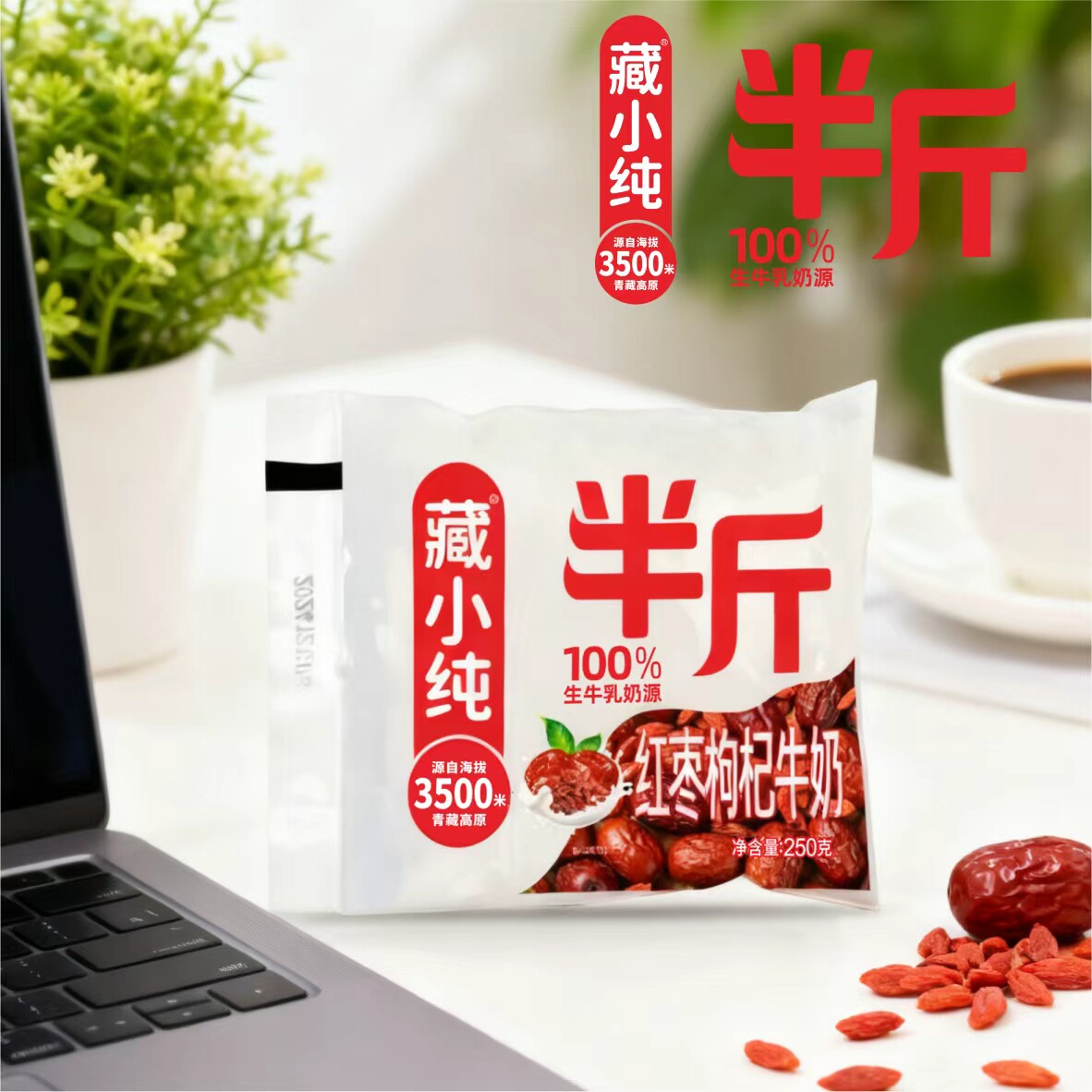 藏小纯半斤红枣枸杞牛奶250*10袋百分百生牛乳发酵