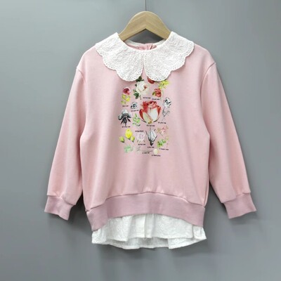 福利GD安系列120春秋 品牌童装折扣/儿童纯棉休闲套头卫衣18463粉