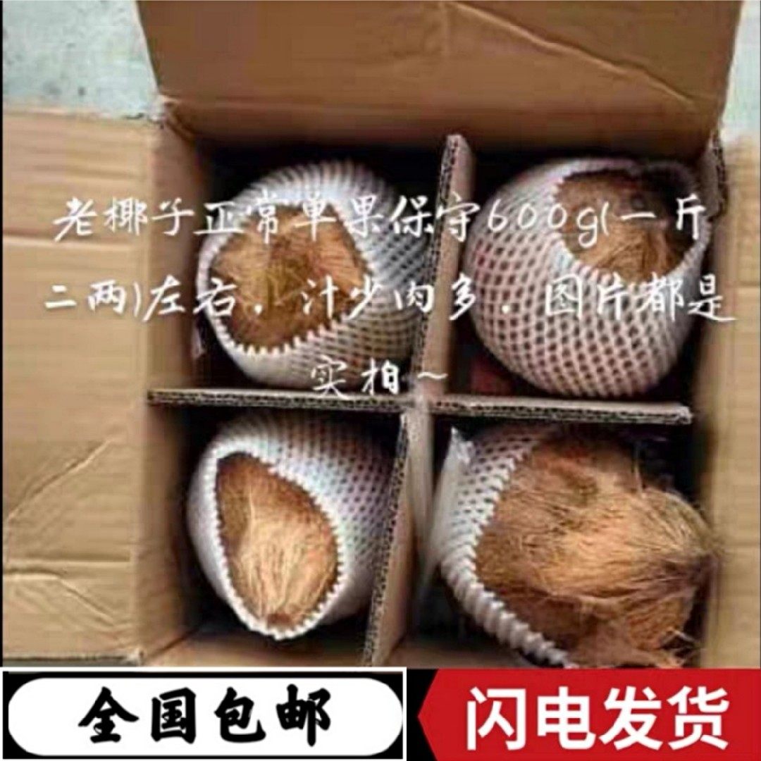 4个装海南老椰毛椰榨椰汁新鲜椰子椰青水果煲汤全国包邮坏果包赔