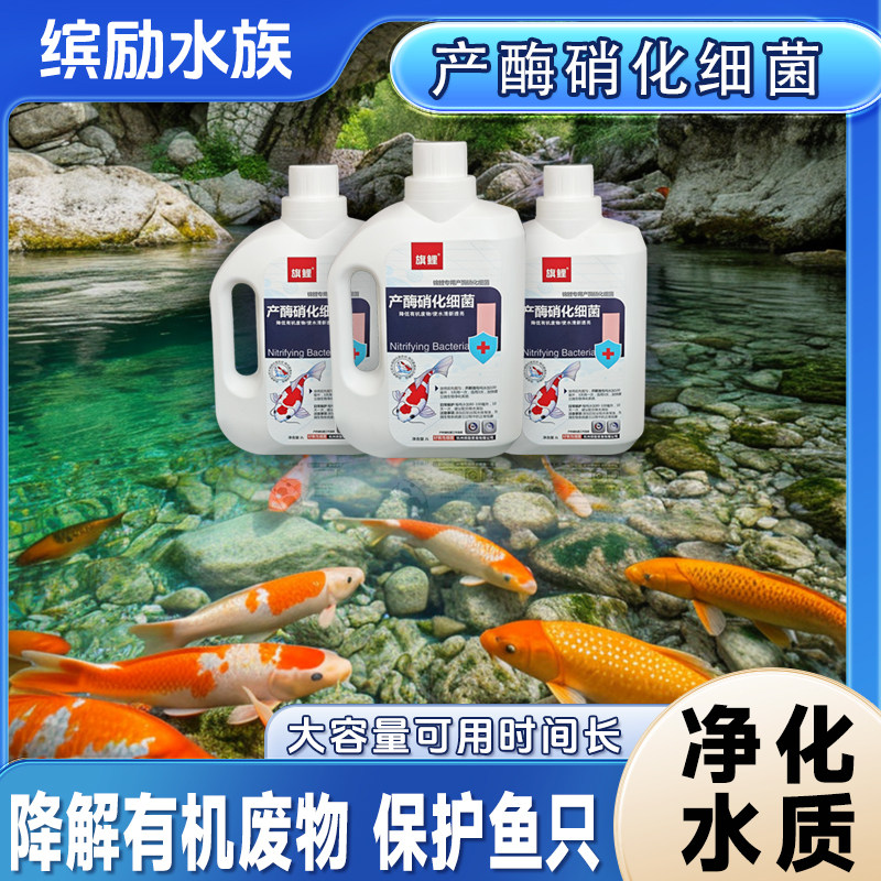 旗鲤硝化菌鱼缸鱼池净水