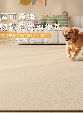 不怕尿的客厅地毯养宠家庭优选